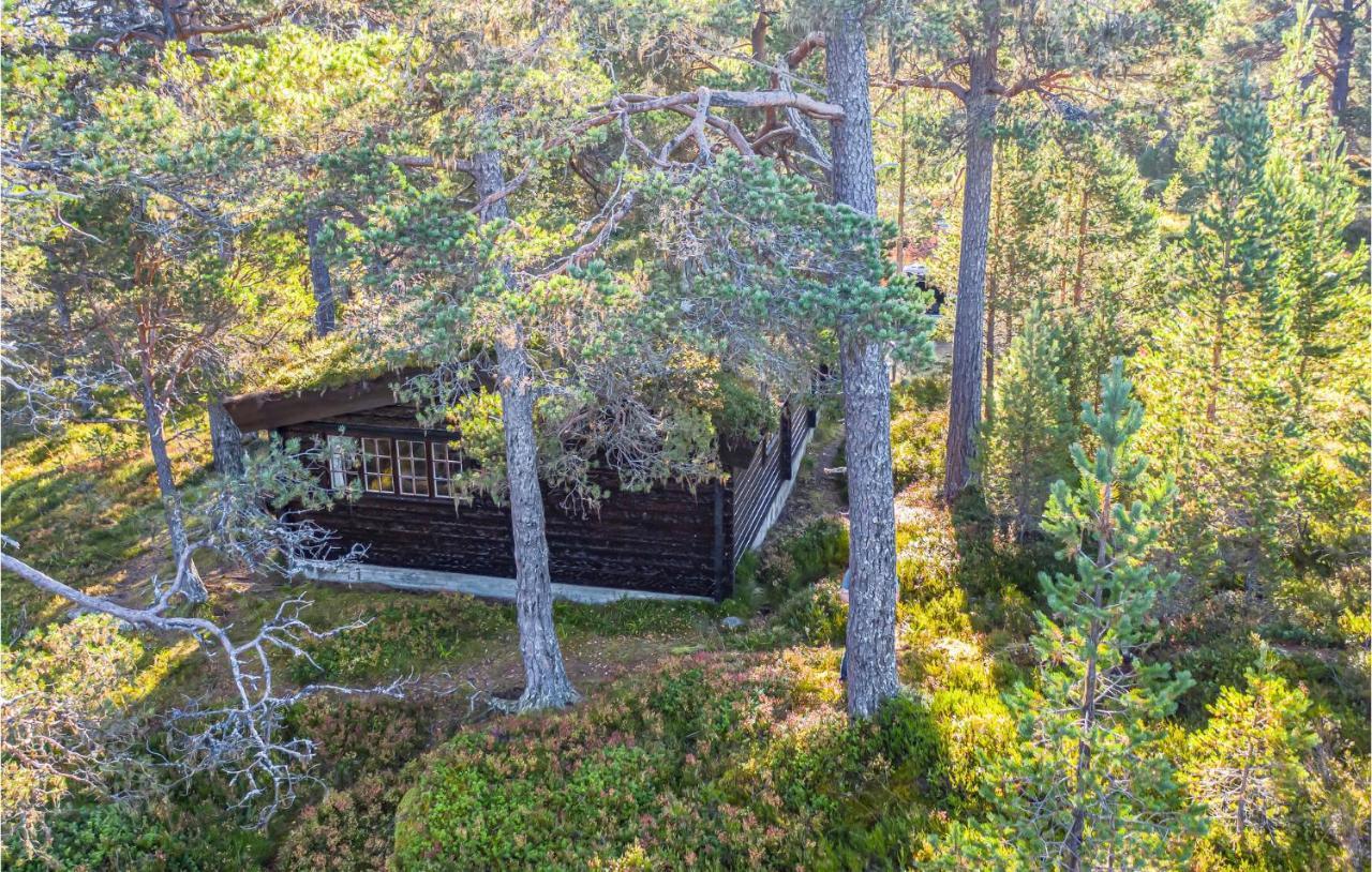 Awesome Home In Stranda With Kitchen Dış mekan fotoğraf